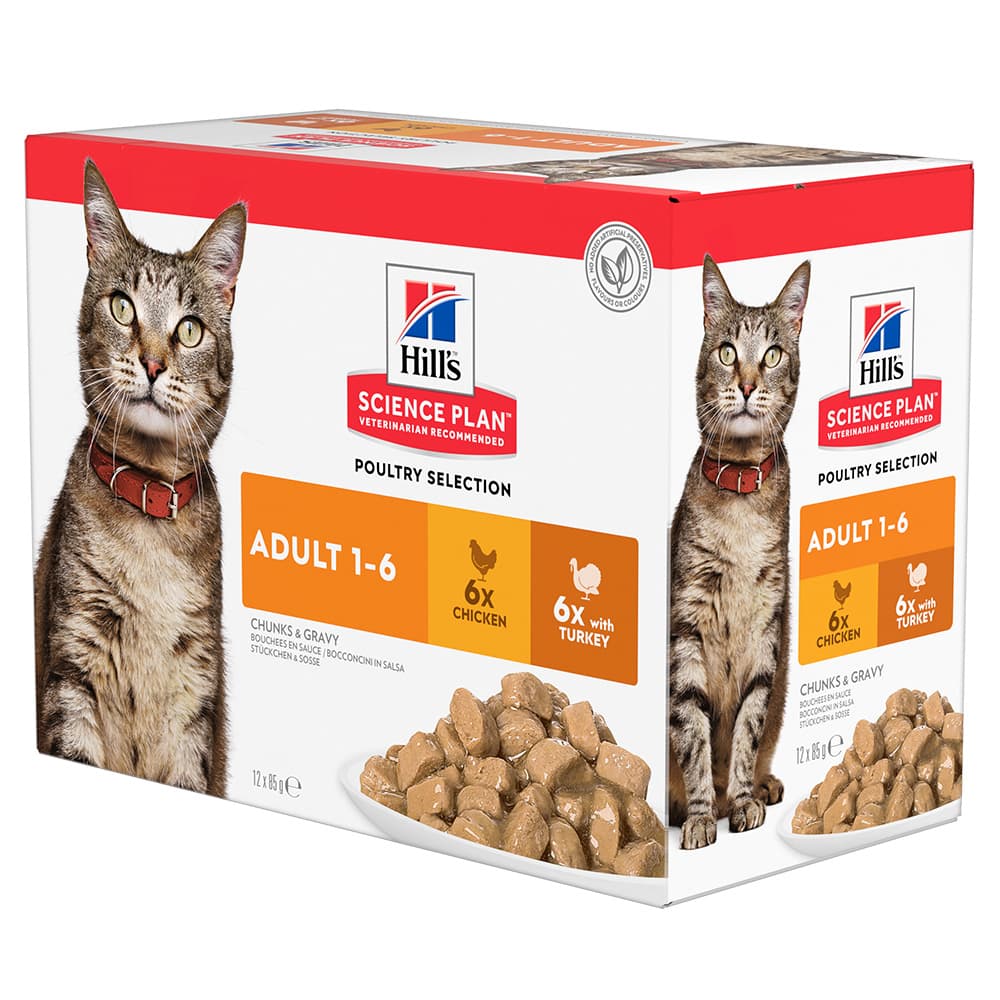 Hills Cat Adult Chicken/Turkey Pouches 12x85g