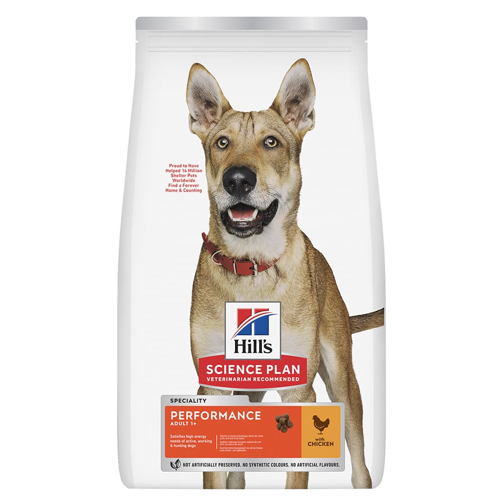 Hills Dog Performance 14kg