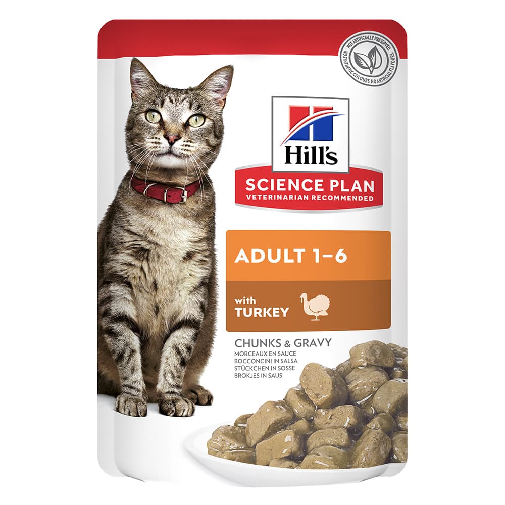 Hills Cat Adult Turkey Pouches 12x85g