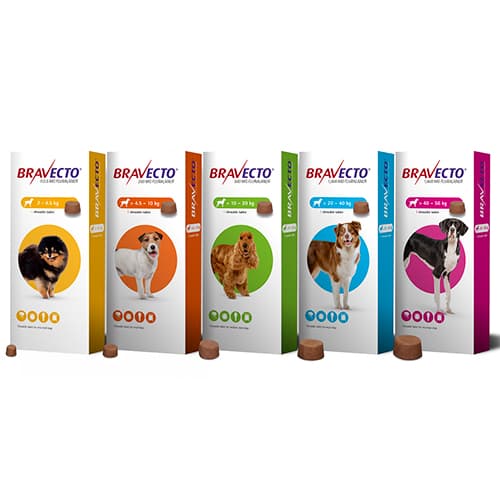 Bravecto Chew Dog 2-4.5Kg
