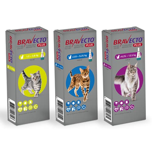 Bravecto Plus Cat Spot On 1.2-2.8Kg