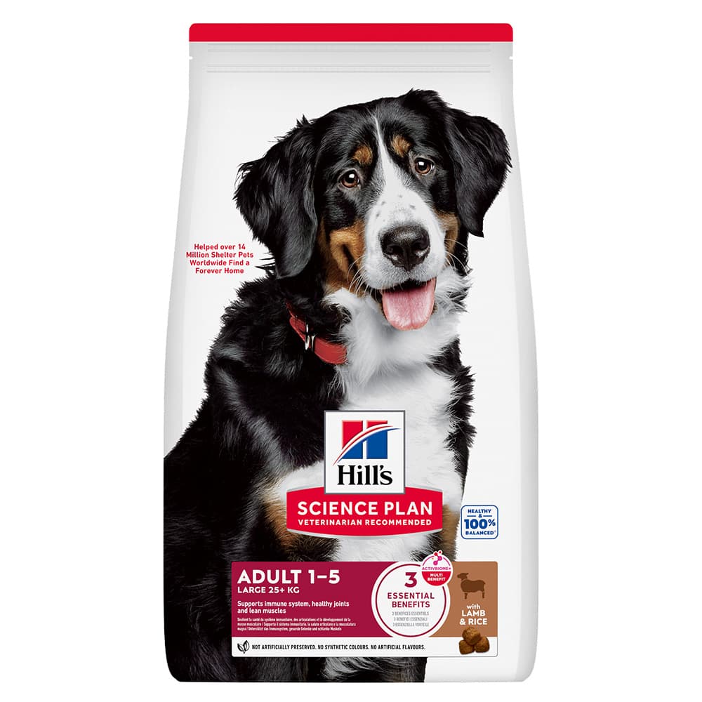 Hills Dog Adult Large Breed Lamb 12kg