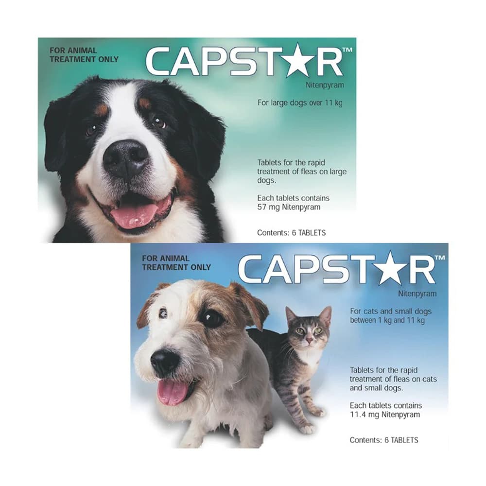 Capstar 0.5-11kg Single
