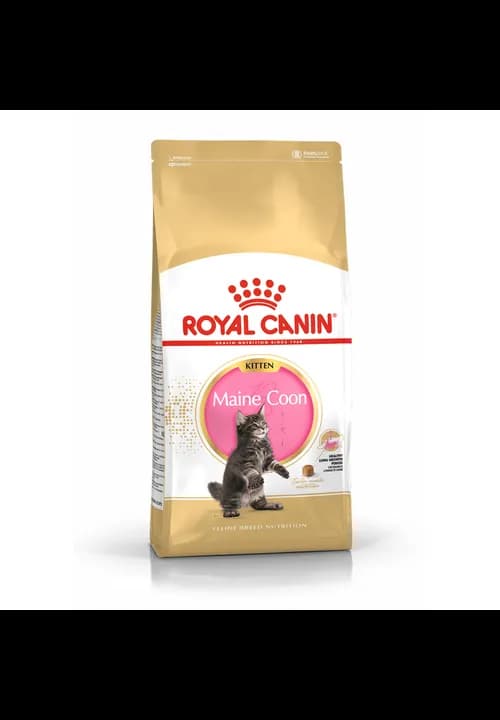 Royal Canin Maine Coon Kitten 4kg