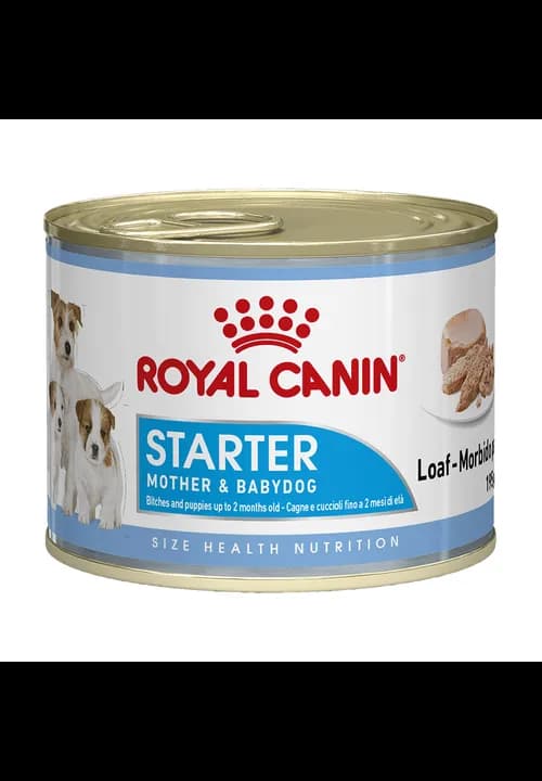 Royal Canin Mother And Baby Dog Mousse Tin 195g